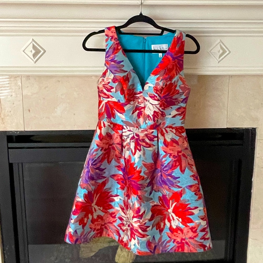 Beautiful Nicole Miller Dress!!!